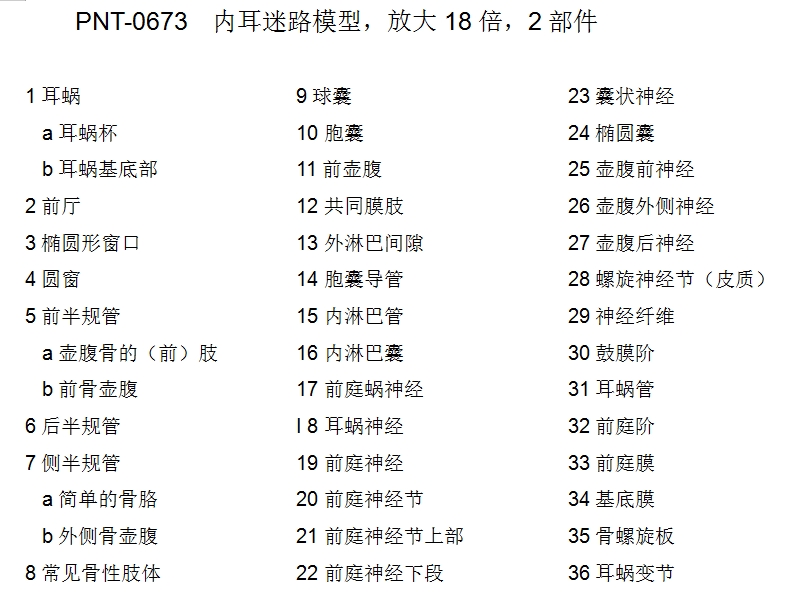 内耳朵迷路说明书0673.png