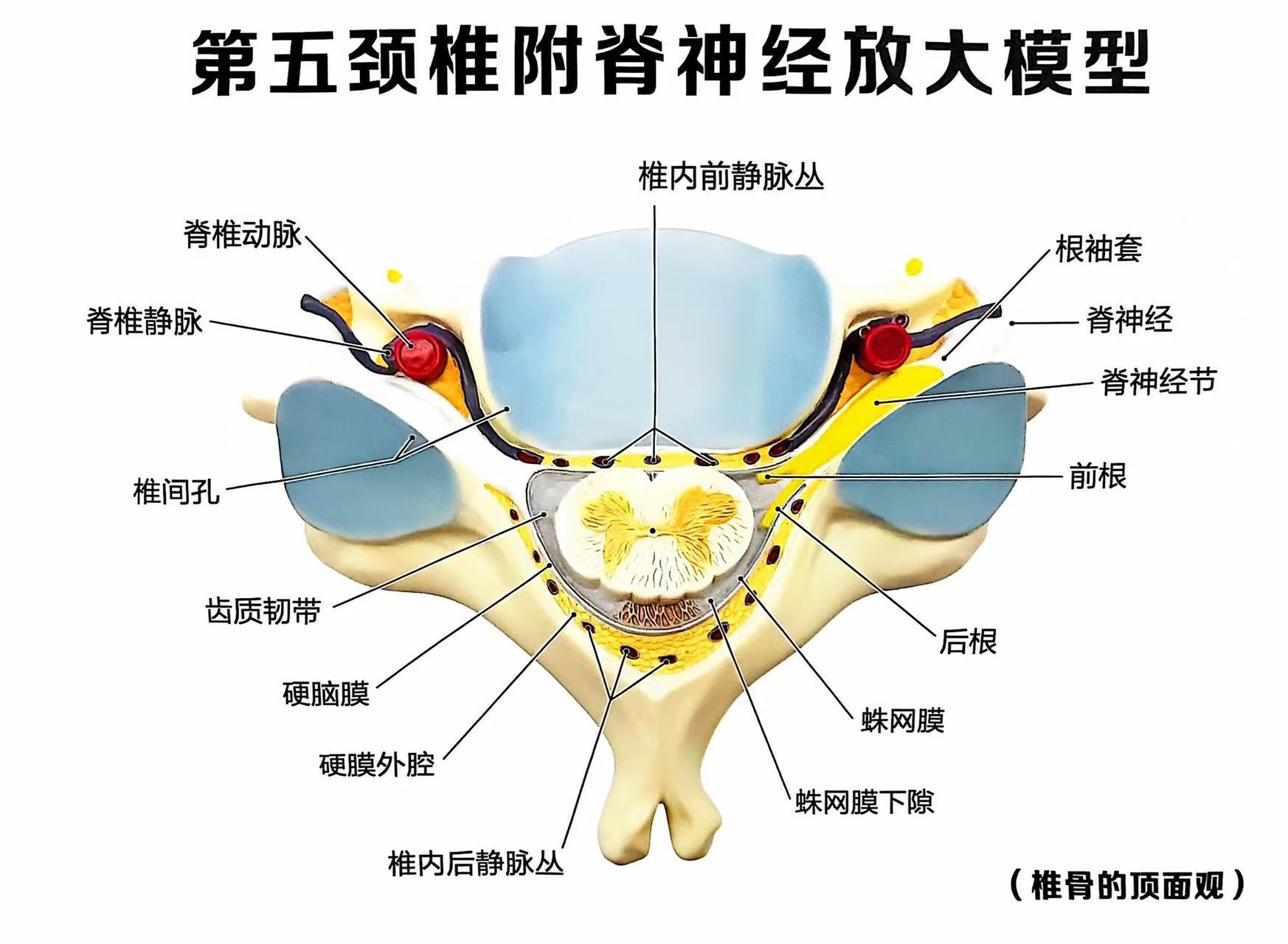微信图片_20241218095259.jpg