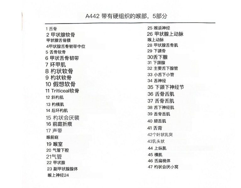 喉舌说明书.png
