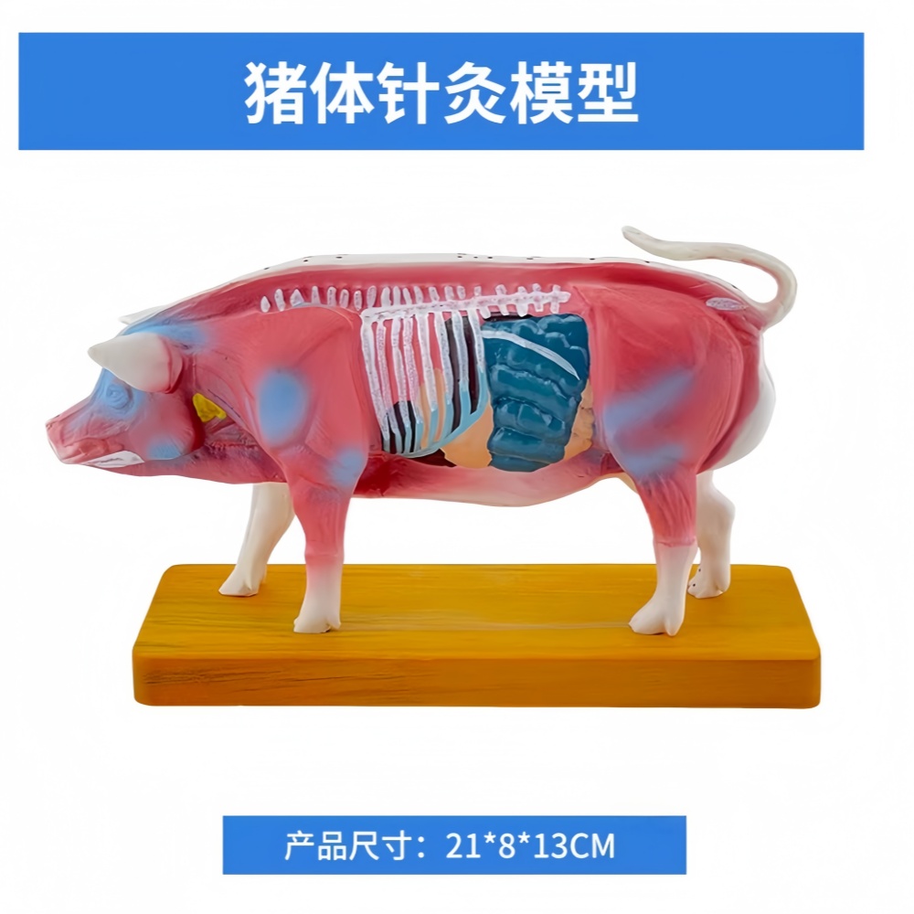 猪.jpg