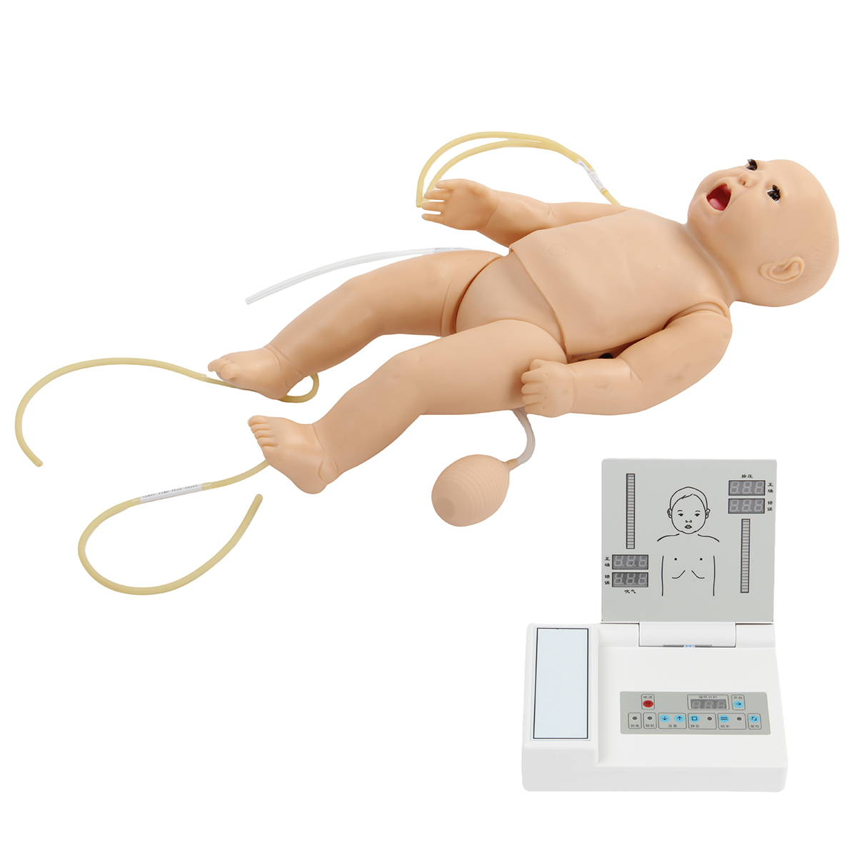 1777419819211382.jpg ACLS160.jpg