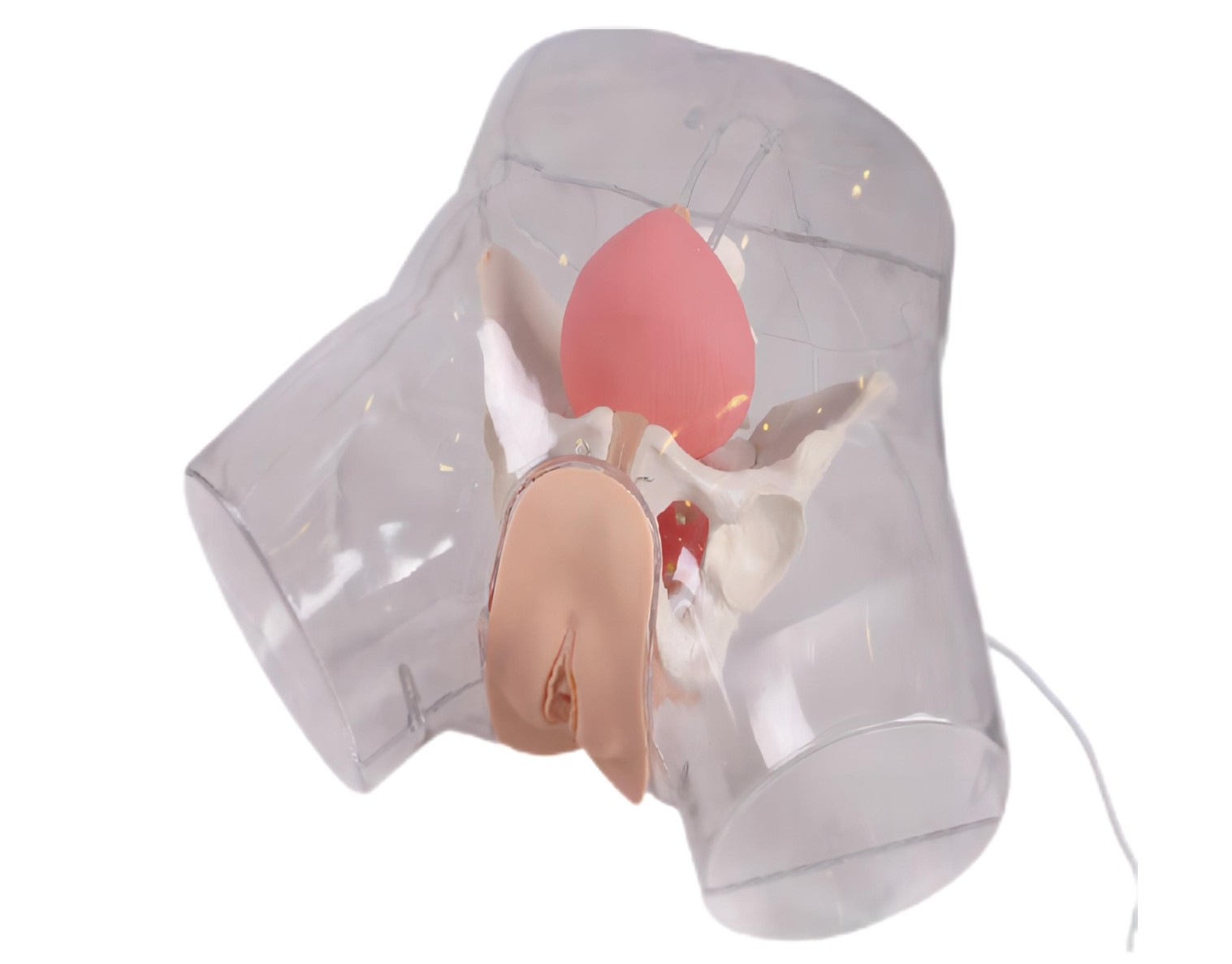 透明女导尿.jpg